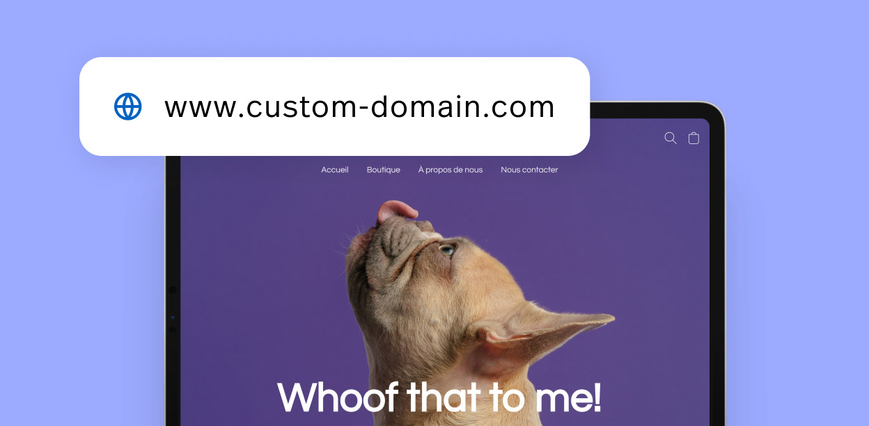 Launch your online store in minutes with Ecwid Instant Site